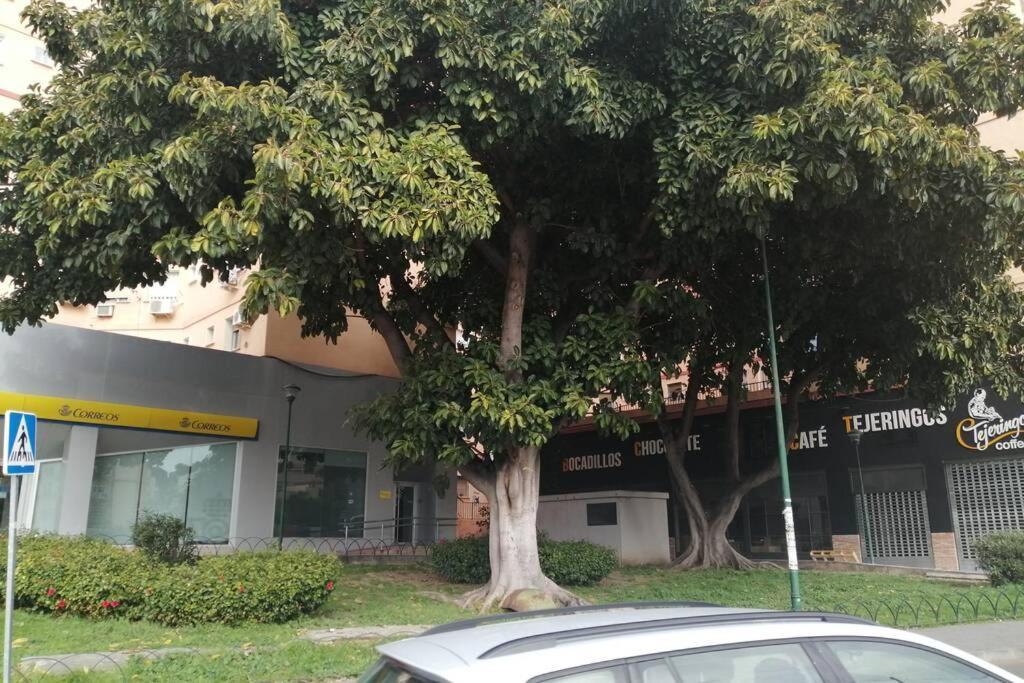Apartamento Confortable Y Luminoso Piso 5 Camas Málaga